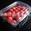 PVC Plastic packaging container for tomatos