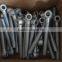 Mass production Galvanized Forged Lifting Eye Bolt