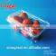 good quality Disposible plastic food PET tray/strawberry/blueberry clamshell tray
