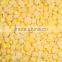 Wholesale Fresh Frozen Corn Kernel