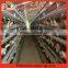 China Professional Manufacturer industrial chicken house