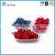 Blister disposable box food container plastic packaging frozen fruit tray