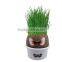 Novelty Fun Kids Plants Doll Grass Head Doll