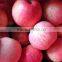 Apple fruits products for Thailand The Best quality of Red Delicious Apple