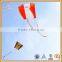 promotion sled kites