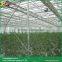 Sawtooth type greenhouse parts cheap glass greenhouses