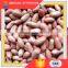 All Normal Sizes Snack Chinese Four Kernel Red Skin Peanut 40/50