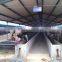 Dairy farm industry steel structure shed