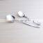 OEM ODM Stainless Steel ice cream spoon
