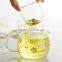 Borosilicate Glass Handblown Glass Teapot With Glass Infuser and Two Tea Cups TZ319