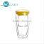 Portable double wall glass tea infuser bottle with tea strainer