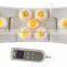 Jade Massager 11 Ball/ Handle Massager Jade Projector Massager