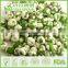 Yellow wasabi dusted hot green peas