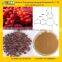 GMP Factory Supply Natural Schisandra Chinensis Extract