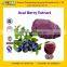 GMP Certified Factory Supply Natural Acai Berry Extract Powder