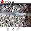 supply baby oyster mushroom Frozen iqf in China market