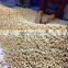 VIETNAM CASHEW NUTS