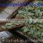 grown without shell pumpkin seeds Grade AA