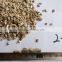 Zonolite/Expanded Vermiculite for Construction