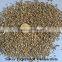 Free Asbestos Crude/Bulk Vermiculite for lightweight Concretes