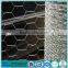 Plant protection guard hexagonal wire mesh,hexagonal planting mesh screen