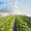 hot sale galvanized pipe with plastic film greenhouse for crops or commercial use
