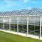 Modern Appearance Used Greenhouse Sale/greenhouses for Tomatoes for Sale/commercial Greenhouse for Sale
