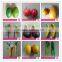 Top sale decorative handicraft home decoration design party decoration