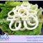 IQF Squid Rings- todarodes pacificus-frozen ring