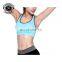 Custom Yoga Sport Bra Blank Top Quality Bra With Colorful