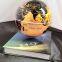 360 rotating magnetic floating bottom globe with book base