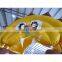2017 Outdoor &Indoor Inflatable Lion Jumping Castle ,Animal Inflatable Bouncer House for Kids