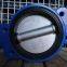 Marine Semi-lug Butterfly Valve DN100 With Lever