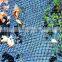 Agriculture Protection Anti Bird Net To Cover Pool