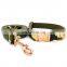 Eco-Friendly outdoor training military rose gold buckle polyester webing dog collar leash