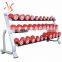 Dumbbell Steel Rack in Gym Fitness Equipment