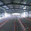 Long Service Life Poultry Chicken Farm Building/Cattle Shed