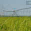 85ha Automatic Farm Center Pivot Irrigation System Equipment with mobile control