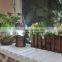 (160367) Portable outdoor ABS 3*AAA telescopic rechargeable 6led solar camping lamp