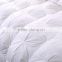 2016 New Style Luxury,High quality,Warm White goose down duvet from china