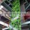 Camouflage Prepainted Galvanized Steel Coil