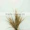 hot selling narture green bonsai export from china for garden decoration