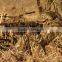 Custom Men Waterproof Camouflage Ghillie Hunting Suit