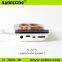 2015 new products D-203 FM radio mini digital speaker