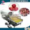 SGS certificate automatic vegetable washing machine