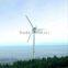 300kW 500kW Wind Farm Plant by 100KW Wind Turbine Generator Set