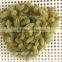 Air Dried AD Green Raisin with Factory Price