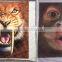 Nuocai large format printer, uv flatbed printer, printer machine for indoor decoration UV2513
