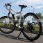 brushless electric bike 48v 11.6ah /city bike electric bicycle