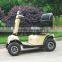 Hub motor wheel electric scooter